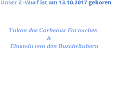 Unser Z -Wurf ist am 13.10.2017 geboren                          die Elterntiere                       Yukon des Corbeaux Farouches                                   &        Einstein von den Buschräubern  Alle 12 Welpen sind eU ohne Befund                      Zen Kovuo