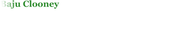 Baju Clooney geb. 26.11.2020 (Int. Ch. Qashqai des travailleurs babus x Yukon des Corbeaux farouches) voll zur Zucht zugelassen